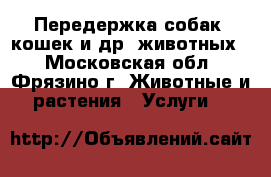 Передержка собак, кошек и др. животных. - Московская обл., Фрязино г. Животные и растения » Услуги   